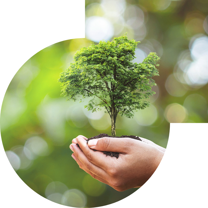 关怀人类、文化、环境与社会